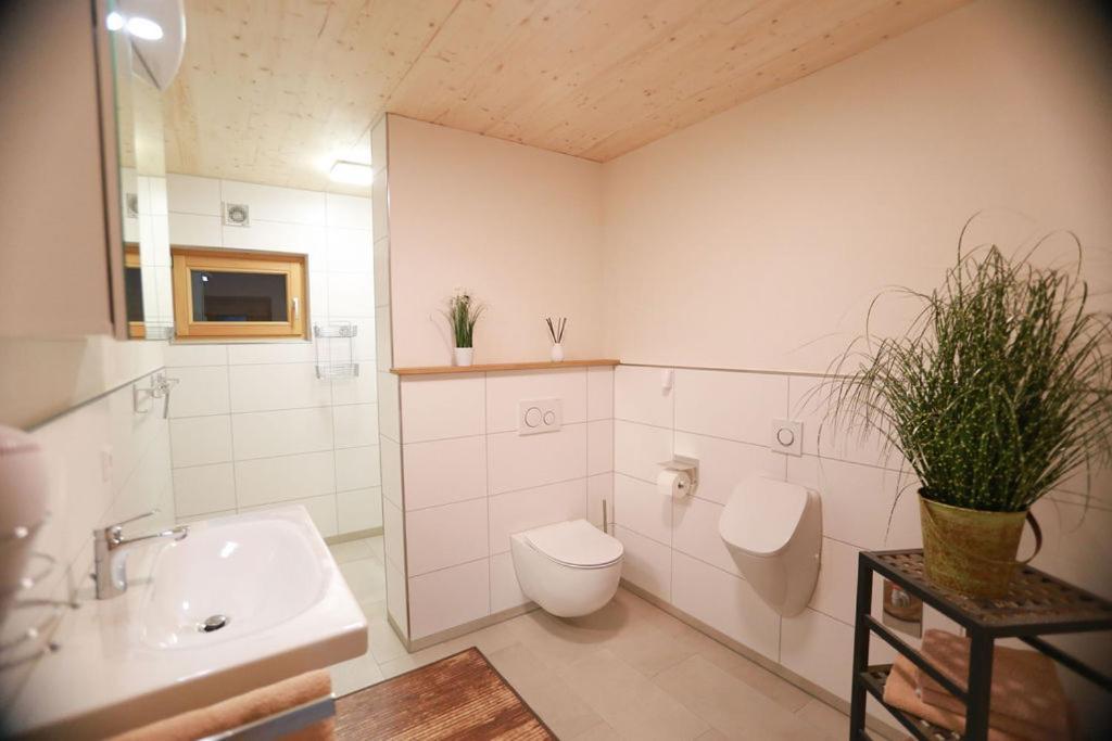 Daheim Im Geissetal Apartment St. Blasien Exterior foto